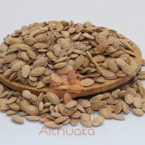 Kacang Jagung Yemeni Segar Rasa Asin & Tidak Asin dari Jood Mart - Food
